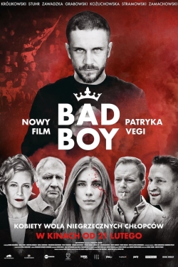 Watch Bad Boy Movies for Free