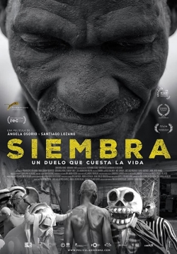 Watch Siembra Movies for Free