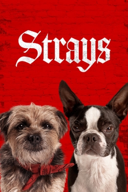 Watch Strays Movies for Free