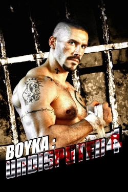 Watch Boyka: Undisputed IV Movies for Free