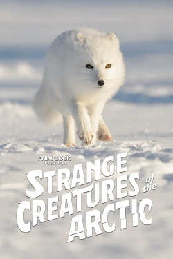 Watch Strange Creatures of the Arctic Movies for Free
