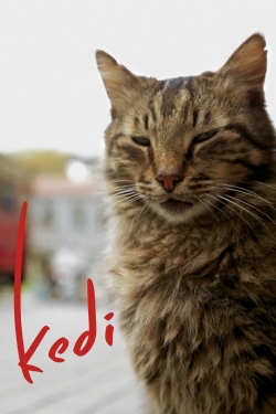 Watch Kedi Movies for Free