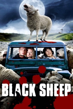 Watch Black Sheep Movies for Free