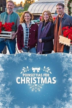 Watch Poinsettias for Christmas Movies for Free