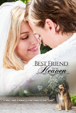 Watch Best Friend from Heaven Movies for Free