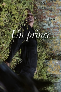 Watch A Prince Movies for Free