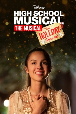 Watch High School Musical: The Musical: The Holiday Special Movies for Free