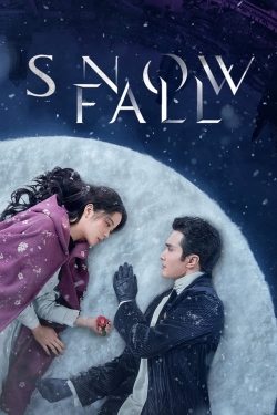 Watch Snowfall Movies for Free