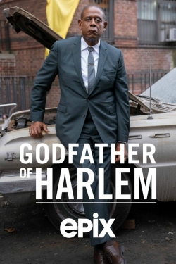 Watch Godfather of Harlem Movies for Free