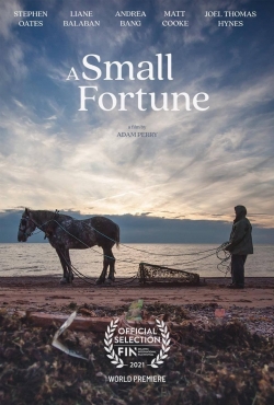 Watch A Small Fortune Movies for Free