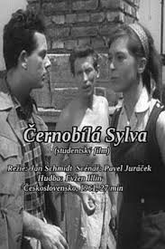 Watch Black and White Sylva Movies for Free
