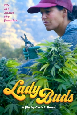 Watch Lady Buds Movies for Free