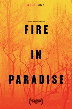 Watch Fire in Paradise Movies for Free