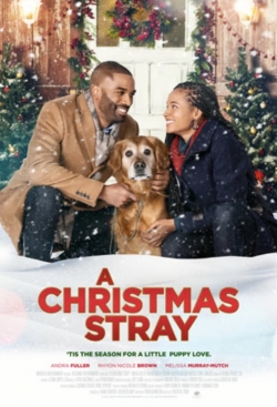 Watch A Christmas Stray Movies for Free