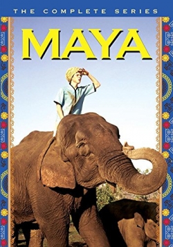 Watch Maya Movies for Free