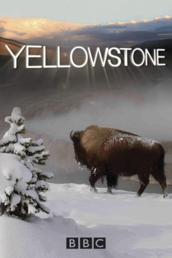 Watch Yellowstone Movies for Free