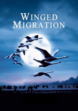 Watch Winged Migration Movies for Free