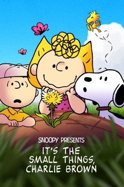 Watch Snoopy Presents: It’s the Small Things, Charlie Brown Movies for Free