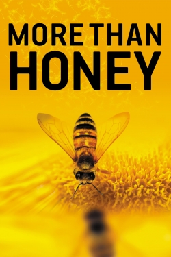 Watch More Than Honey Movies for Free