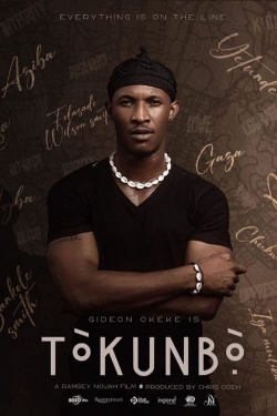 Watch Tòkunbò̩ Movies for Free