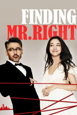 Watch Finding Mr. Right Movies for Free