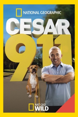 Watch Cesar 911 Movies for Free