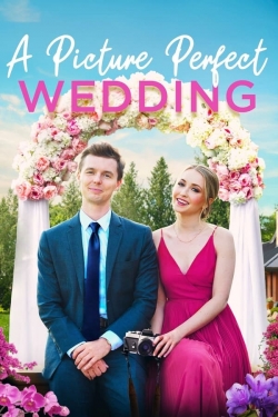 Watch A Picture Perfect Wedding Movies for Free