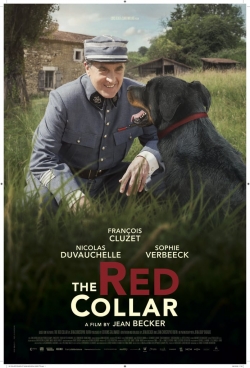 Watch The Red Collar Movies for Free