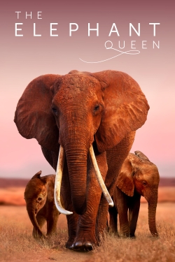 Watch The Elephant Queen Movies for Free