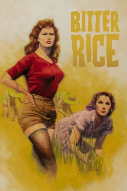 Watch Bitter Rice Movies for Free