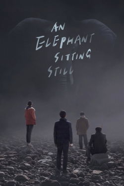 Watch An Elephant Sitting Still Movies for Free