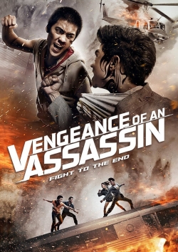 Watch Vengeance of an Assassin Movies for Free