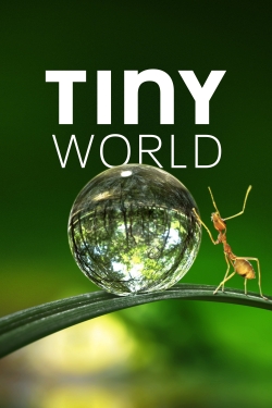 Watch Tiny World Movies for Free