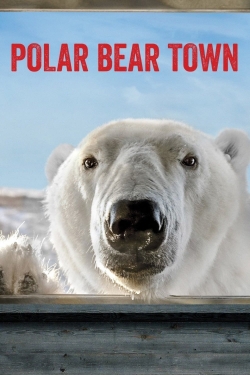 Watch Polar Bear Town Movies for Free