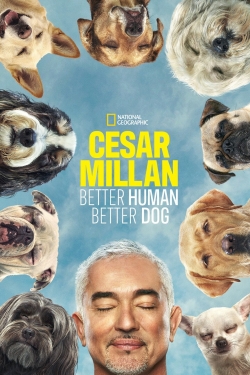 Watch Cesar Millan: Better Human, Better Dog Movies for Free