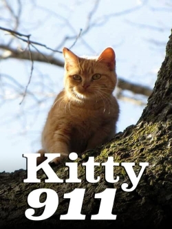 Watch Kitty 911 Movies for Free