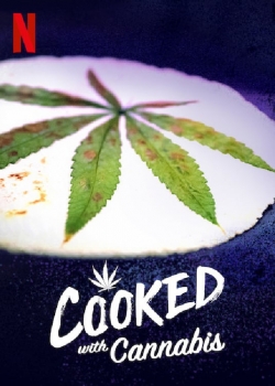 Watch Cooked With Cannabis Movies for Free