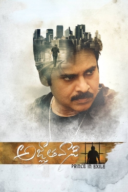 Watch Agnyaathavaasi Movies for Free