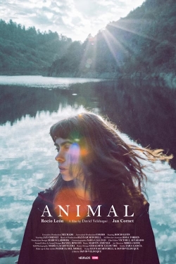 Watch Animal Movies for Free