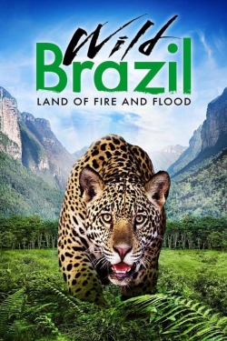 Watch Wild Brazil Movies for Free