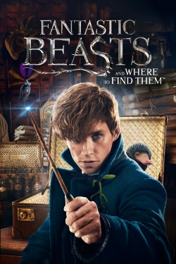 Watch Fantastic Beasts and Where to Find Them Movies for Free