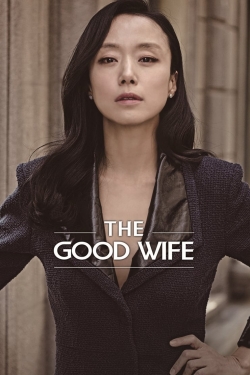 Watch The Good Wife Movies for Free
