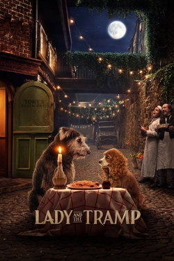 Watch Lady and the Tramp Movies for Free