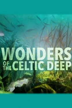 Watch Wonders of the Celtic Deep Movies for Free