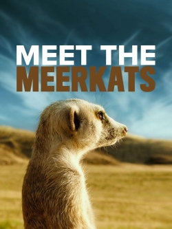 Watch Meet The Meerkats Movies for Free
