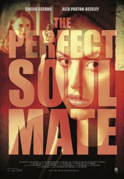 Watch The Perfect Soulmate Movies for Free