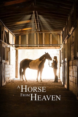 Watch A Horse from Heaven Movies for Free