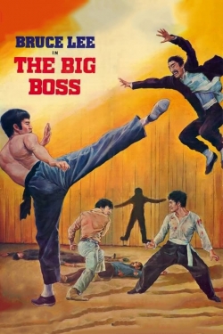 Watch The Big Boss Movies for Free