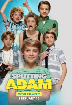 Watch Splitting Adam Movies for Free